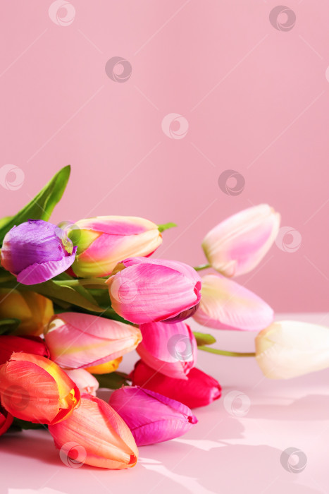 Скачать Букет разноцветных тюльпанов лежит на розовой поверхности. Цветы имеют различные оттенки, включая розовый, белый, красный и фиолетовый. Солнечный свет усиливает яркость пейзажа. Искусственные тюльпаны для весеннего дизайна фотосток Ozero