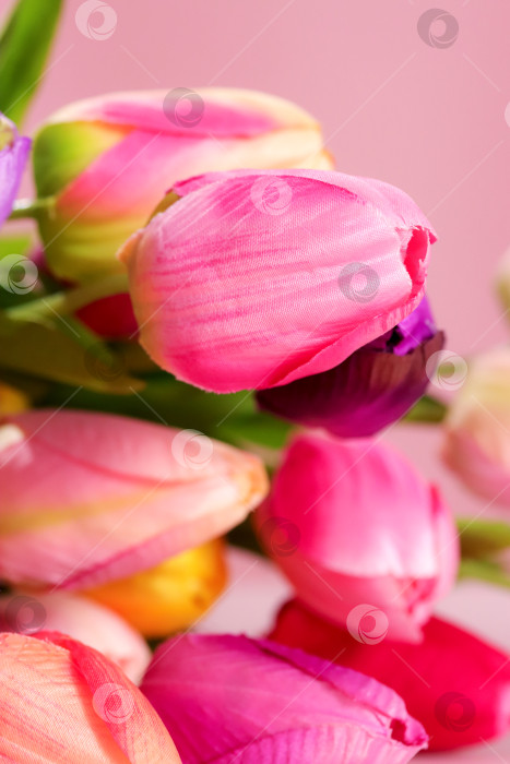 Скачать Искусственные тюльпаны розового, фиолетового и желтого цветов, собранные вместе, на светло-розовом фоне. Искусственные цветы с гладкими лепестками для весенних акций, рекламы флористики, романтического дизайна, дня матери, женского дня фотосток Ozero