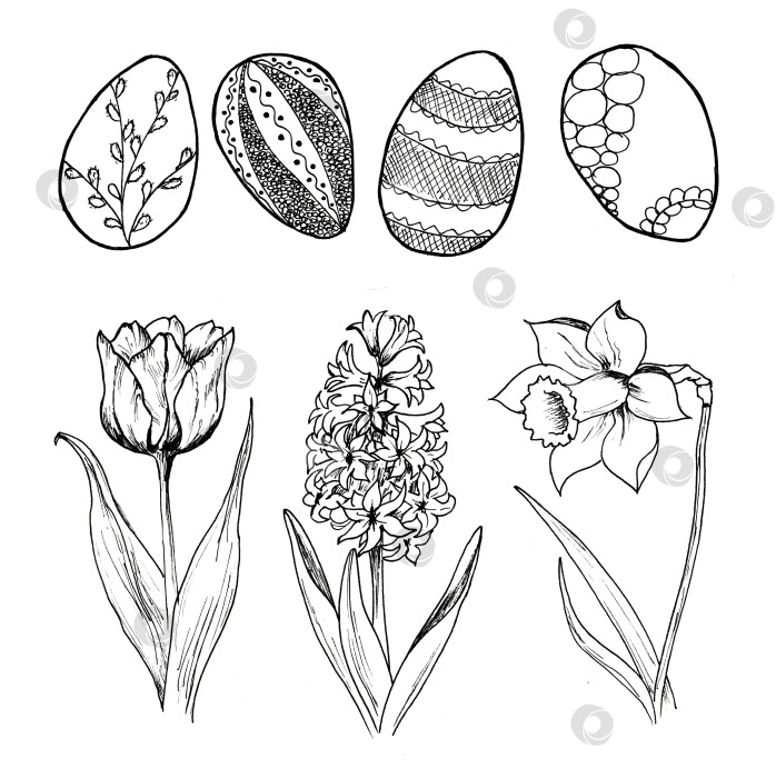 Скачать Весенний пасхальный набор простых детских рисунков с набросками, нарисованными от руки. фотосток Ozero