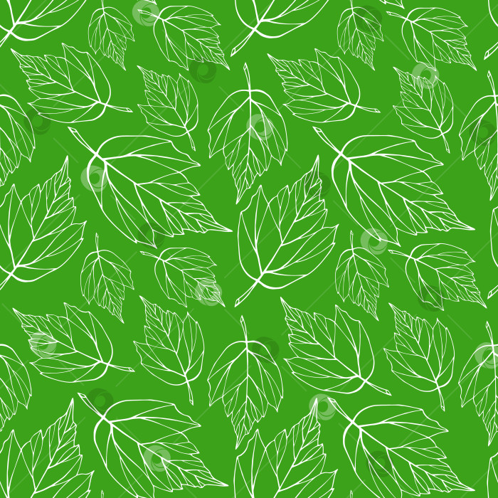 Скачать Падающие листья создают бесшовный узор. Фон с безграничной листвой. Бесконечная текстура зеленых и белых трав. Повторяющий рисунок поверхности листьев. Милый ботанический фон. фотосток Ozero