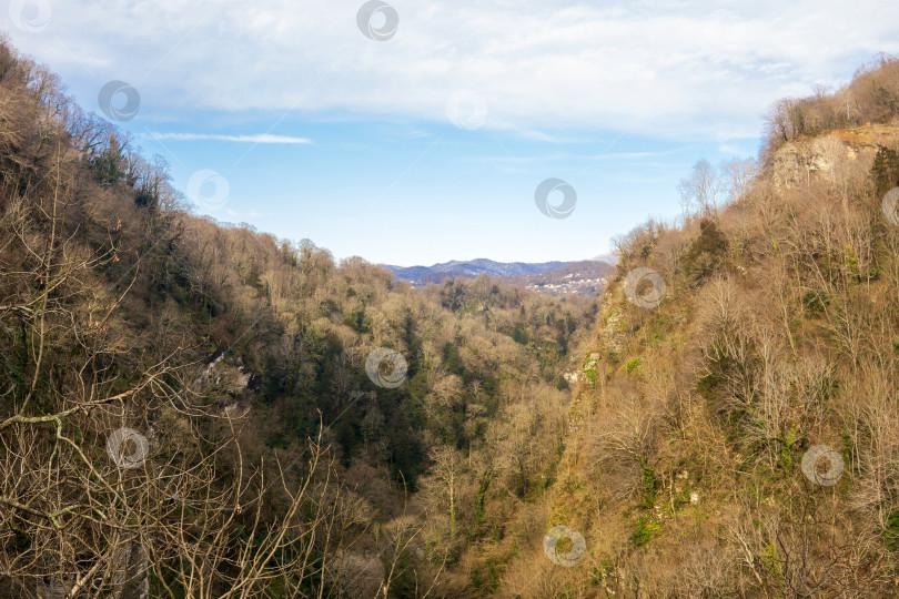 Скачать долина и лес в зимних Кавказских горах фотосток Ozero