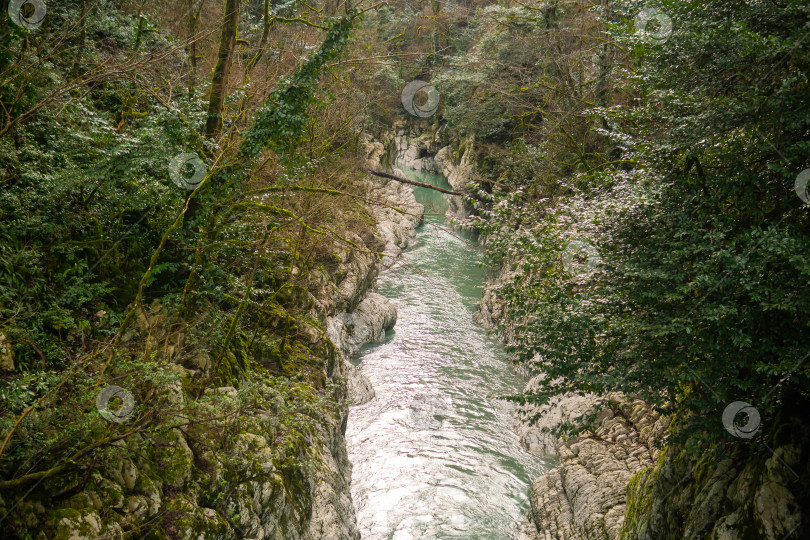 Скачать Горный ручей в лесу. Концепция активного и экстремального туризма фотосток Ozero