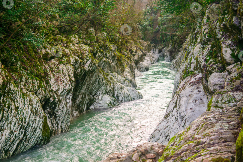 Скачать Горная река, протекающая по каньону в горах Кавказа фотосток Ozero
