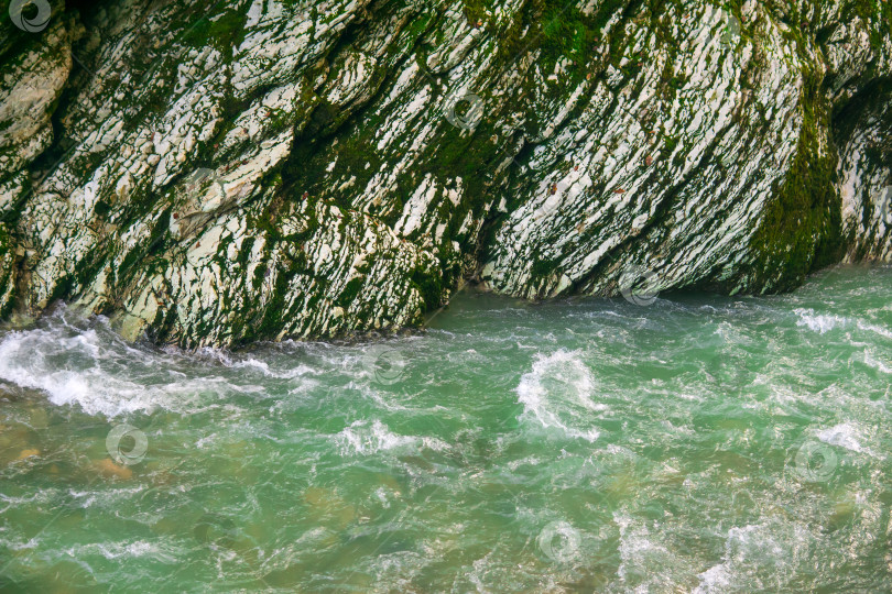 Скачать Горная река с прозрачной водой и зеленым мхом на камнях. фотосток Ozero