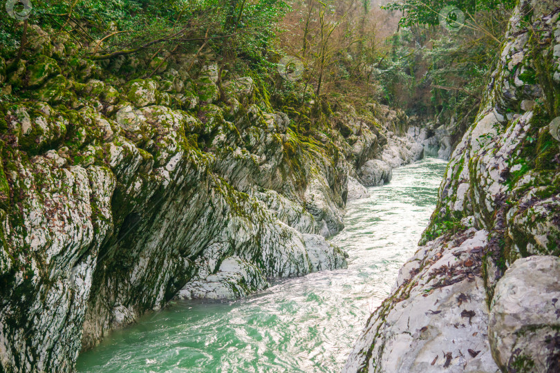 Скачать Горная река с порогами и скалами в ущелье. фотосток Ozero