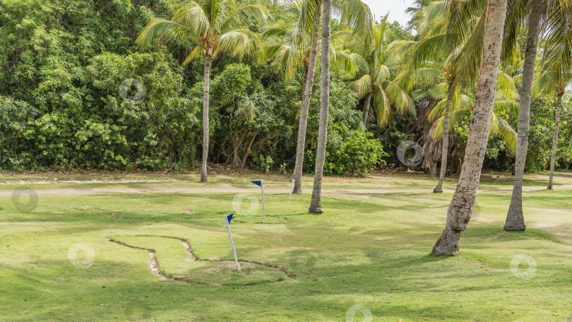 Скачать Поле для мини-гольфа. На зеленой лужайке есть разметка и флажки. фотосток Ozero