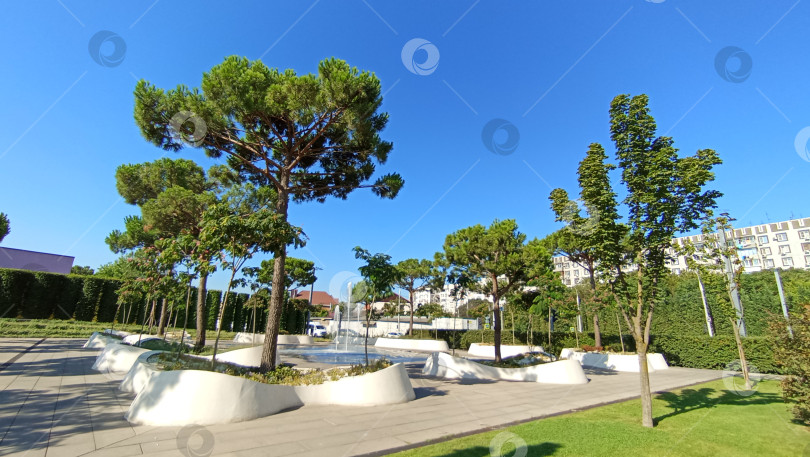 Скачать Парк Галицкого. Город Краснодар. фотосток Ozero