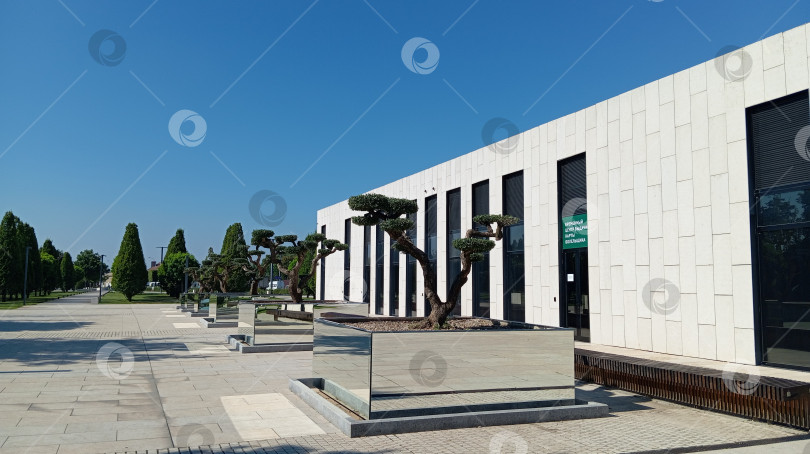 Скачать Парк Галицкого. Город Краснодар. фотосток Ozero