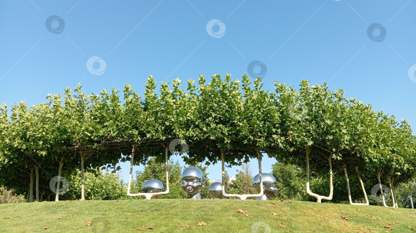 Скачать Парк Галицкого. Город Краснодар. фотосток Ozero