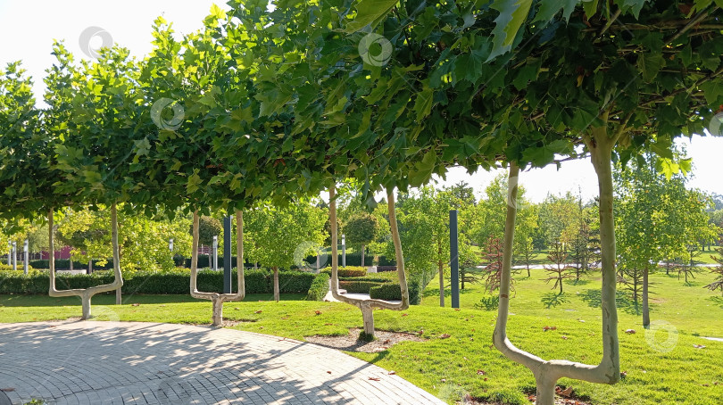 Скачать Парк Галицкого. Город Краснодар. фотосток Ozero