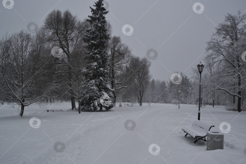 Скачать Заснеженный парк фотосток Ozero