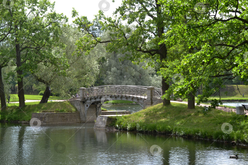 Скачать Парк летом фотосток Ozero