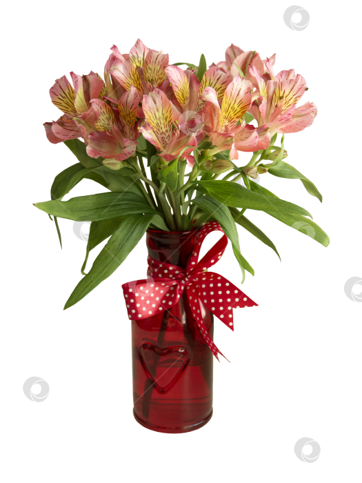 Скачать Красная ваза с букетом перуанских лилий и лентой в горошек - Элегантное весеннее цветочное украшение фотосток Ozero