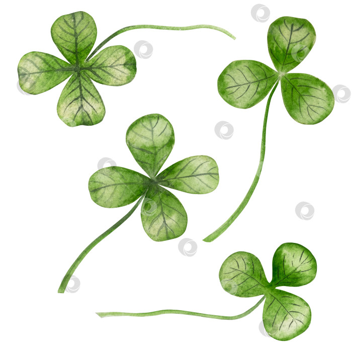 Скачать Набор акварельных иллюстраций ко Дню Святого Патрика. Нарисованный от руки изолированный клипарт с изображением шляпы лепрекона, клевера, золотых монет, ирландского флага, зеленого пива и горшка с золотом. Талисманы на удачу, богатство и успех. Коллекция предметов для праздника. фотосток Ozero