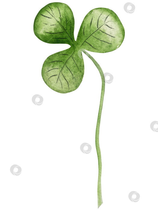 Скачать Набор акварельных иллюстраций ко Дню Святого Патрика. Нарисованный от руки изолированный клипарт с изображением шляпы лепрекона, клевера, золотых монет, ирландского флага, зеленого пива и горшка с золотом. Талисманы на удачу, богатство и успех. Коллекция предметов для праздника. фотосток Ozero