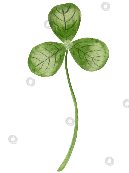 Скачать Набор акварельных иллюстраций ко Дню Святого Патрика. Нарисованный от руки изолированный клипарт с изображением шляпы лепрекона, клевера, золотых монет, ирландского флага, зеленого пива и горшка с золотом. Талисманы на удачу, богатство и успех. Коллекция предметов для праздника. фотосток Ozero