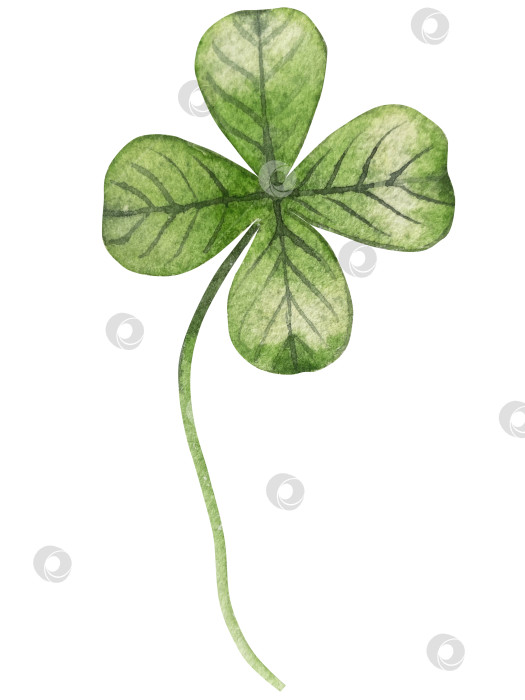 Скачать Набор акварельных иллюстраций ко Дню Святого Патрика. Нарисованный от руки изолированный клипарт с изображением шляпы лепрекона, клевера, золотых монет, ирландского флага, зеленого пива и горшка с золотом. Талисманы на удачу, богатство и успех. Коллекция предметов для праздника. фотосток Ozero