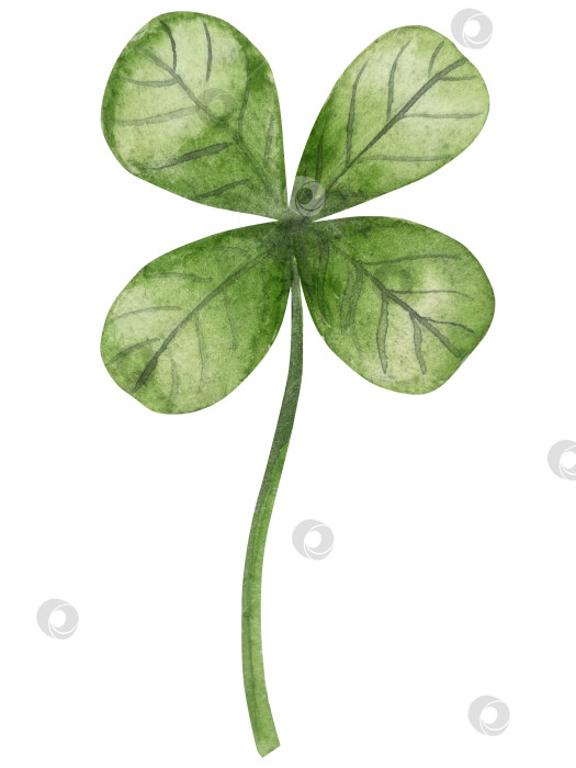 Скачать Набор акварельных иллюстраций ко Дню Святого Патрика. Нарисованный от руки изолированный клипарт с изображением шляпы лепрекона, клевера, золотых монет, ирландского флага, зеленого пива и горшка с золотом. Талисманы на удачу, богатство и успех. Коллекция предметов для праздника. фотосток Ozero