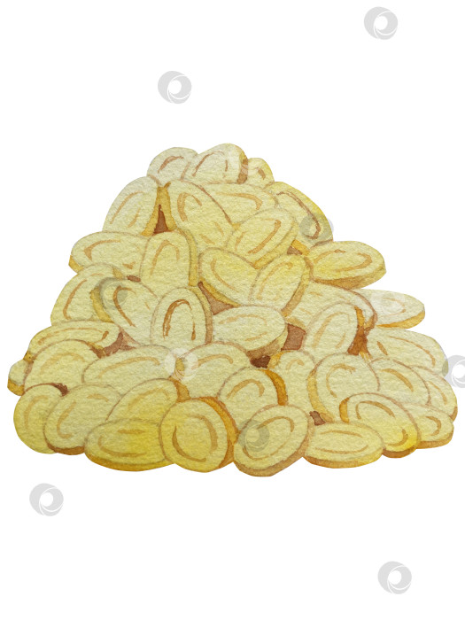 Скачать Набор акварельных иллюстраций ко Дню Святого Патрика. Нарисованный от руки изолированный клипарт с изображением шляпы лепрекона, клевера, золотых монет, ирландского флага, зеленого пива и горшка с золотом. Талисманы на удачу, богатство и успех. Коллекция предметов для праздника. фотосток Ozero