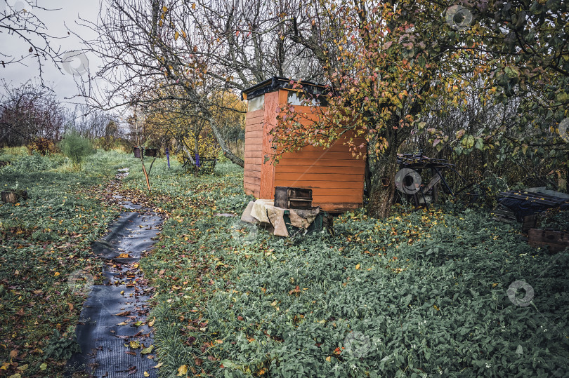 Скачать Старый сад в деревне поздней осенью фотосток Ozero