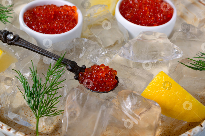Скачать Набор из красной икры в керамических вазочках и ложках, дольки лимона и веточка укропа на подносе со льдом фотосток Ozero