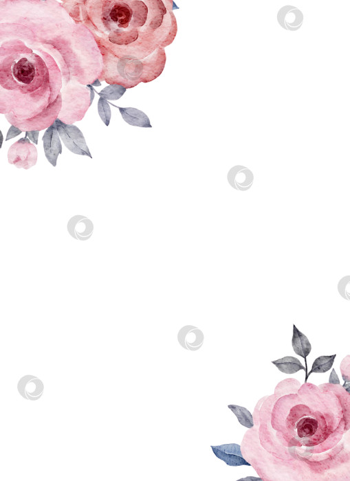 Скачать Акварельная вертикальная цветочная угловая рамка с розовыми розами и листьями, расположенными по диагонали. Ботаническая иллюстрация для свадебных приглашений, открыток, поздравительных открыток, упаковки или канцелярских принадлежностей для детского праздника. фотосток Ozero