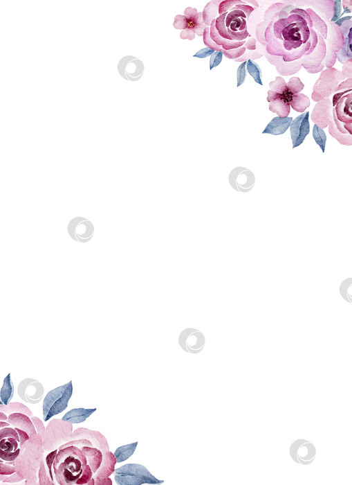 Скачать Акварельная вертикальная цветочная угловая рамка с розовыми розами и листьями, расположенными по диагонали. Ботаническая иллюстрация для свадебных приглашений, открыток, поздравительных открыток, упаковки или канцелярских принадлежностей для детского праздника. фотосток Ozero