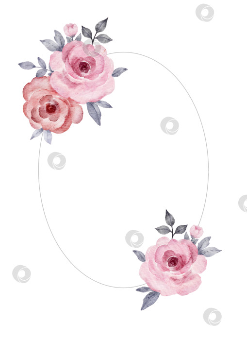 Скачать Акварельный овальный цветочный венок с розовыми розами и листьями. Ботаническая иллюстрация для свадебных приглашений, открыток, этикеток, поздравительных открыток, вкладышей в упаковку или канцелярских принадлежностей для детского праздника. фотосток Ozero