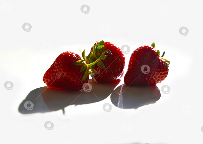Скачать Три ягоды спелой красной клубники в контровом свете с  жесткой тенью на белом фоне фотосток Ozero
