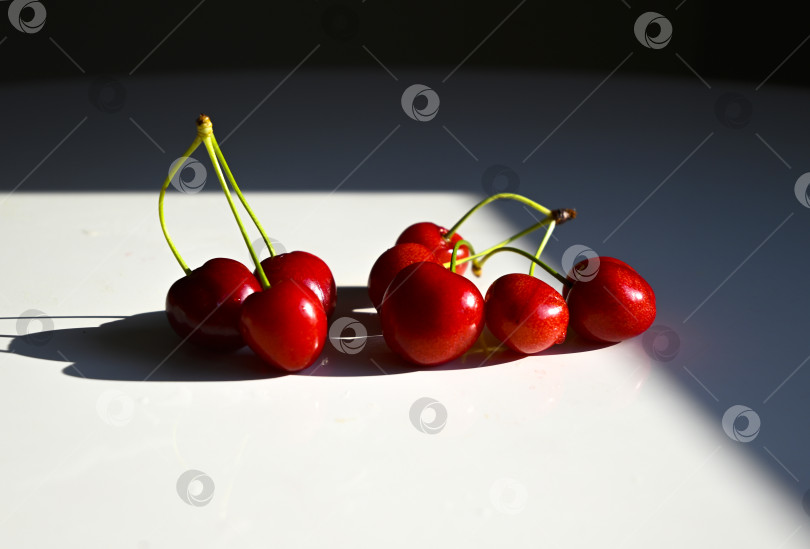 Скачать Горсть свежей садовой черешни фотосток Ozero
