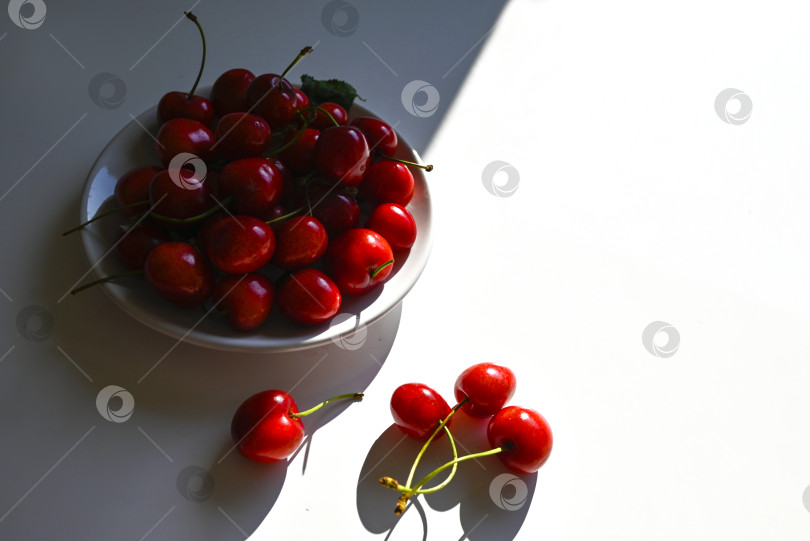 Скачать Натюрморт со спелой черешней на белом фоне со свободным полем для надписи фотосток Ozero