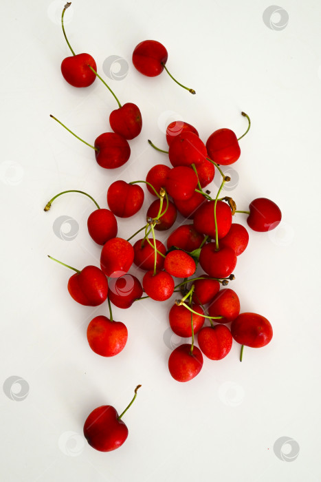 Скачать Вид сверху на рассыпанные ягоды спелой черешни на белом фоне фотосток Ozero