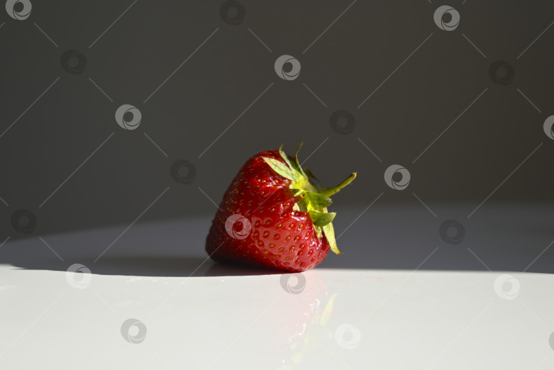 Скачать Спелая садовая клубника крупным планом под прямым солнцем фотосток Ozero