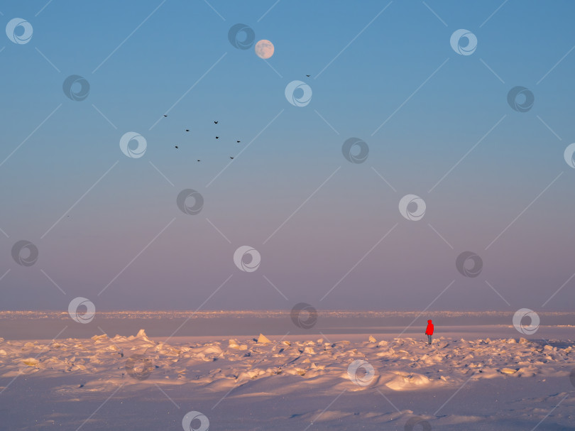 Скачать силуэт женщины в красном пальто виден в заснеженной дали. фотосток Ozero