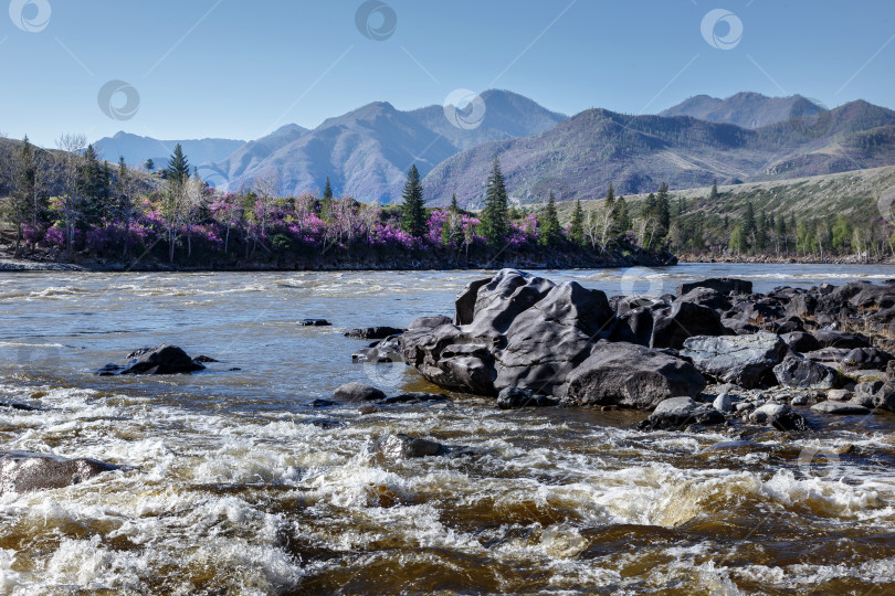 Скачать Пейзаж с горными реками фотосток Ozero