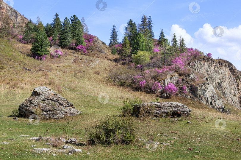 Скачать горный весенний пейзаж фотосток Ozero