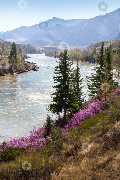 Скачать горный весенний пейзаж фотосток Ozero