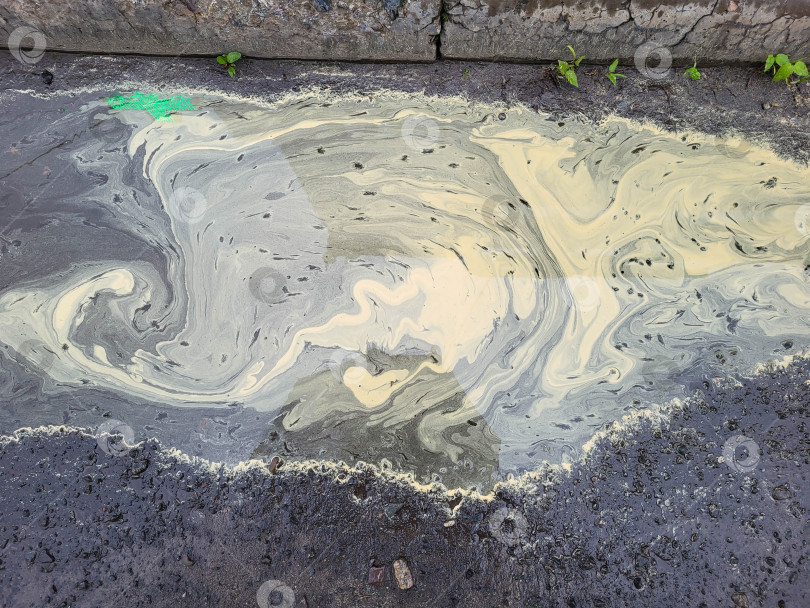 Скачать Красивая весенняя лужица с желтой пыльцой цветущих деревьев. фотосток Ozero