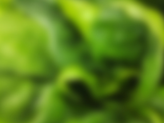 [object Object] undefined