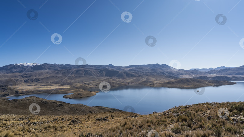 Скачать Красивое голубое альпийское озеро. На холмистых берегах растут пучки желтой сухой травы. фотосток Ozero