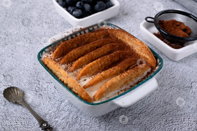 Скачать Модный японский йогуртовый чизкейк с бисквитным печеньем и черникой фотосток Ozero