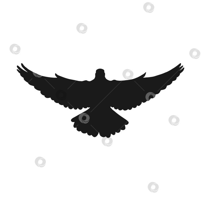 Скачать Нарисованный от руки голубь. Силуэт, выделенный на белом фоне. фотосток Ozero