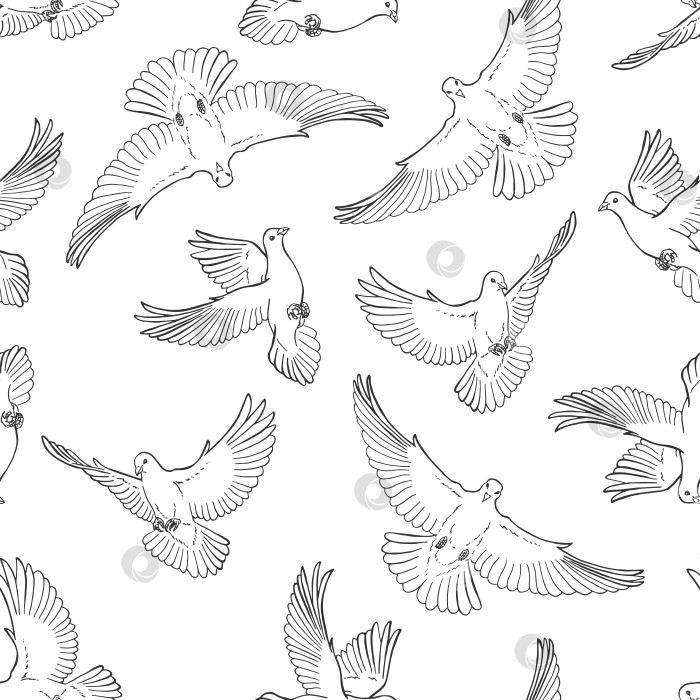 Скачать Бесшовный узор с нарисованным от руки контуром голубя. Стиль Line art. фотосток Ozero