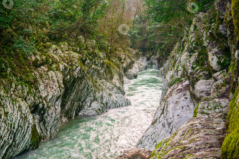 Скачать Горная река, протекающая по ущелью в горах Кавказа фотосток Ozero