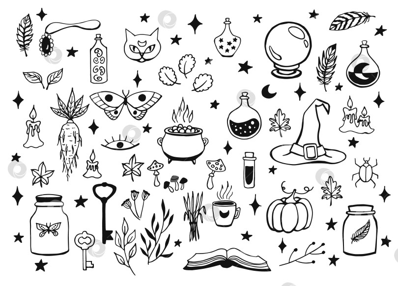Скачать Колдовство, магический фон для ведьм и волшебников. Векторная винтажная коллекция. Нарисованные от руки магические инструменты, концепция колдовства. Нарисованные магические инструменты: книга, свечи, зелья, котел, кошка, шляпа, воздушный шар, мандрагора. фотосток Ozero