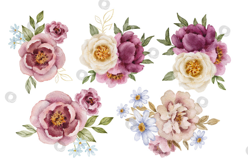 Скачать Акварельный цветочный букет с розовыми, кремовыми и фиолетовыми пионами, изображенными в виде отдельных букетов. Иллюстрация для свадебных приглашений, поздравительных открыток, открыточных открыток, упаковочных этикеток, стикеров или канцелярских принадлежностей. фотосток Ozero