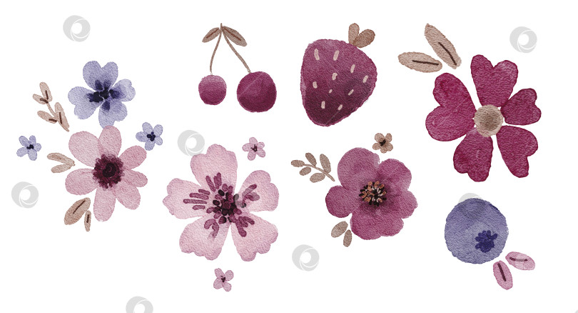 Скачать Акварельный милый цветочно-ягодный набор с розовыми и фиолетовыми цветами, клубникой и вишней, простые формы. Иллюстрации для детских канцелярских принадлежностей, наклеек, открыток, упаковочных этикеток или детских принтов. фотосток Ozero