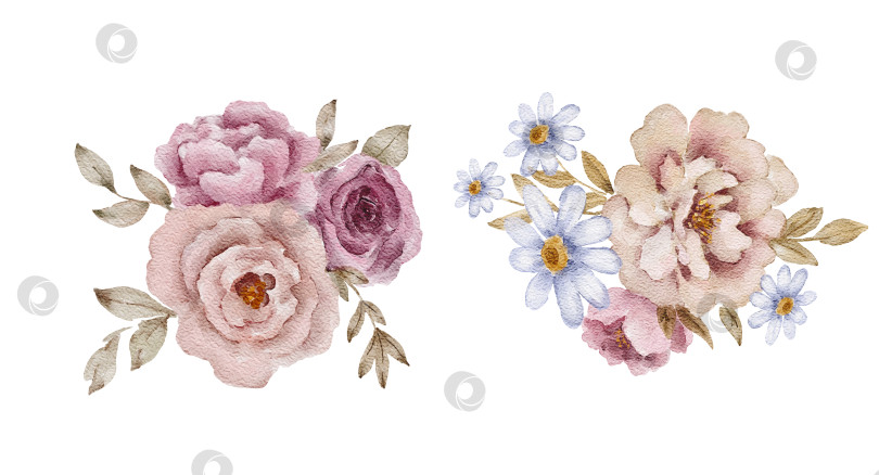 Скачать Акварельный набор из двух цветочных букетов с розовыми и бежевыми пионами и маргаритками, отдельными элементами. Иллюстрация для свадебных приглашений, открыток, пригласительных билетов, упаковочных этикеток или канцелярских принадлежностей. фотосток Ozero