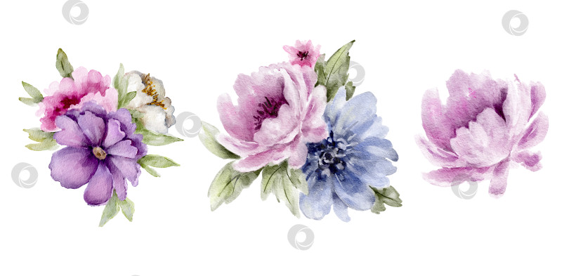 Скачать Акварельный букет из розовых, фиолетовых и голубых цветов, мягкие пастельные тона, отдельные элементы. Цветочная иллюстрация для свадебных приглашений, поздравительных открыток, упаковочных этикеток, канцелярских принадлежностей. фотосток Ozero