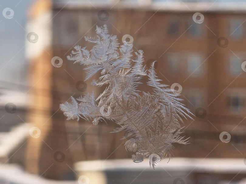 Скачать Морозный узор на окне в зимнем городе. Зимний морозный рисунок на окне. фотосток Ozero